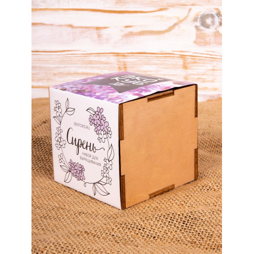 Набор для выращивания «Экокуб Lite», сирень