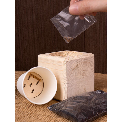 Набор для выращивания «Экокуб», сосна