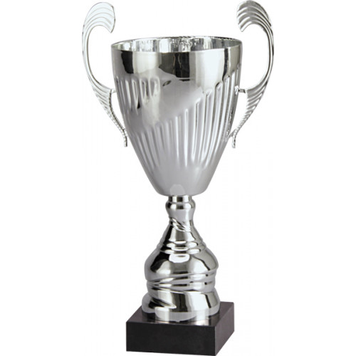 Кубок 7099D (31см) D-120