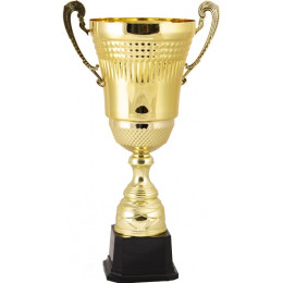 Кубок 2009E (40см) D-160